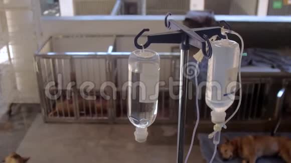 透明塑料滴管悬挂在高黑色支架上视频的预览图