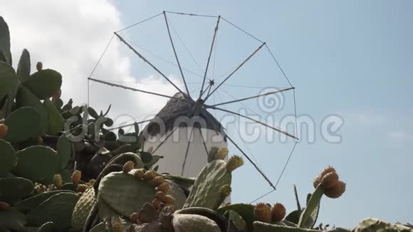 希腊米科诺斯岛上的老式风车有仙人掌视频的预览图