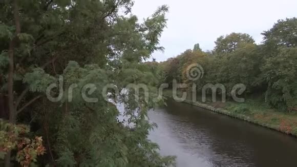 在柏林多雨的秋日风在运河边吹过树木视频的预览图