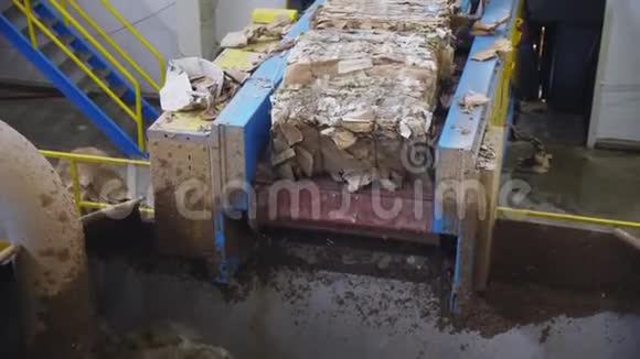 在工厂里大量的废纸会变成热纤维素视频的预览图