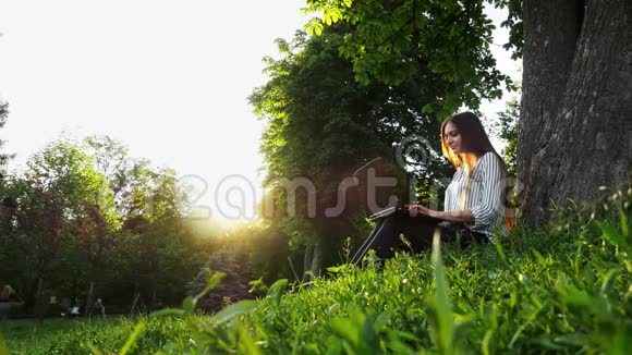 年轻漂亮的女商人坐在树旁的草地上用笔记本电脑女人在公园里用笔记本电脑打字视频的预览图