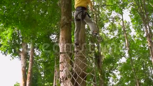一个穿着安全装备的小男孩在森林探险公园的树梢上爬上了高空滑索室外视频的预览图