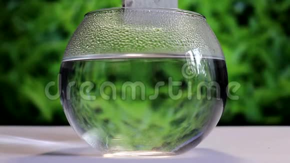 用沸水在透明玻璃容器中冲泡茶的过程视频的预览图