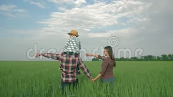 农村家庭幸福的父亲和小男孩肩上妈妈走在绿色的麦田里视频的预览图