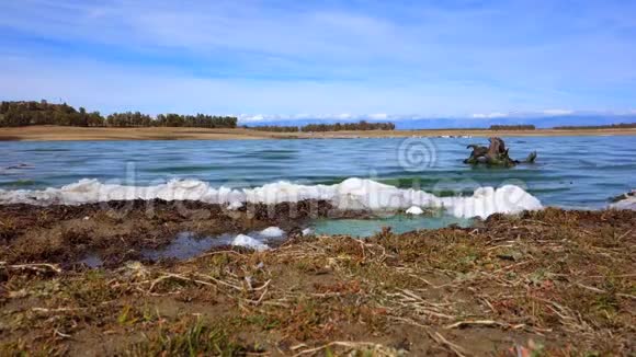 瓦尔迪卡A的海岸被死绿藻和白色泡沫污染视频的预览图