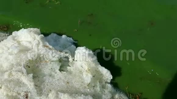 带有气泡和泡沫的绿色和白色污染物液体视频的预览图