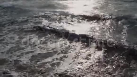 一般的平面图波浪带着污渍的泡沫灰色的大海海鸥飞过视频的预览图