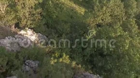森林里的岩石空中无人机射击视频的预览图