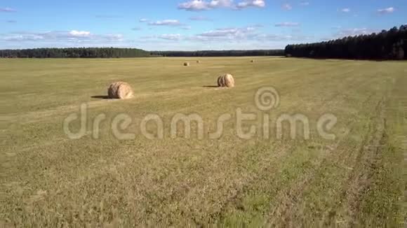 在田野上用草捆将风吹出水面视频的预览图