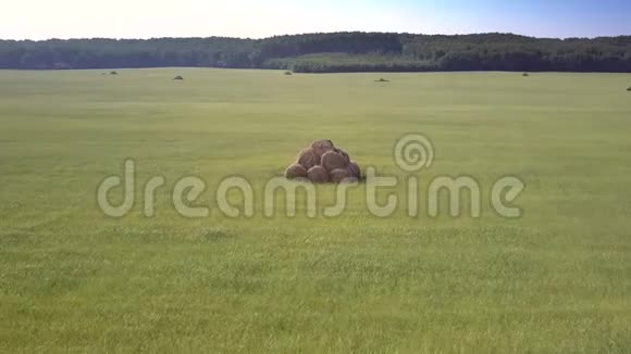 林间草地上单块干草堆运动视频的预览图