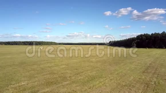 散布在田野上的空中景色由森林包装成干草视频的预览图