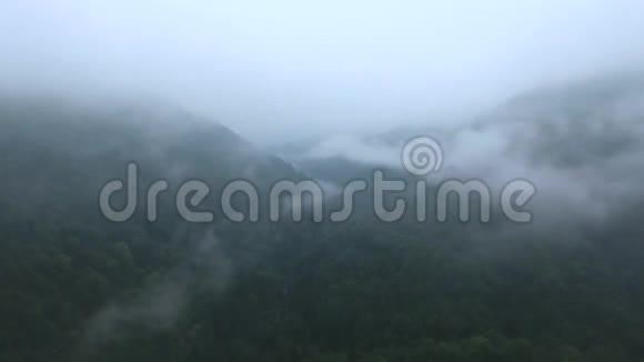 云层笼罩着密不透风的山林视频的预览图