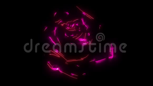 深红红宝石玫瑰花视频动画视频的预览图