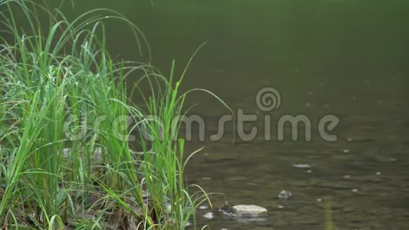 水滴在Chusovaya河上视频的预览图