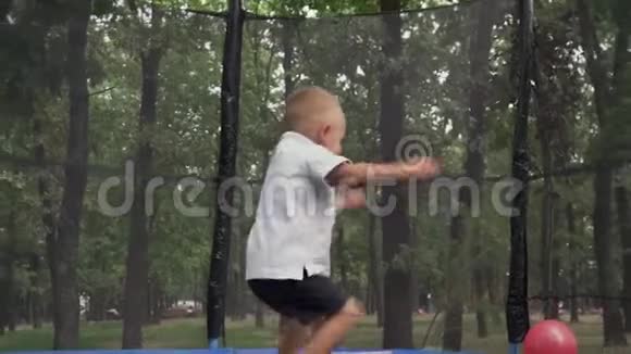 那孩子在公园里跳蹦床视频的预览图