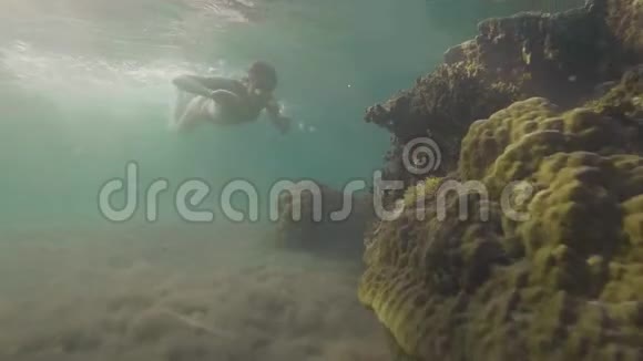 旅游妇女潜水水下和寻找热带鱼附近的珊瑚礁年轻女子戴着护目镜潜水视频的预览图