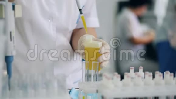 实验室工作人员将黄色液体倒入管子中视频的预览图