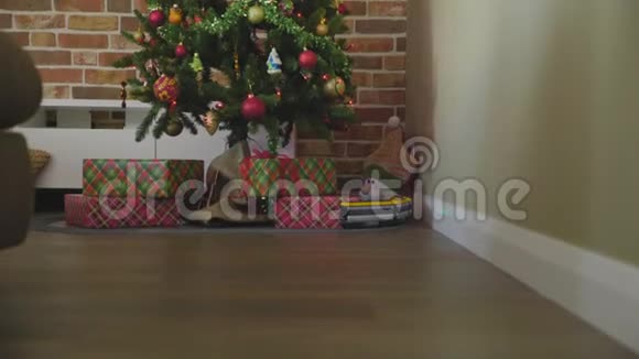 带有装饰光的圣诞树地板上的礼品盒和玩具蒸汽机视频的预览图