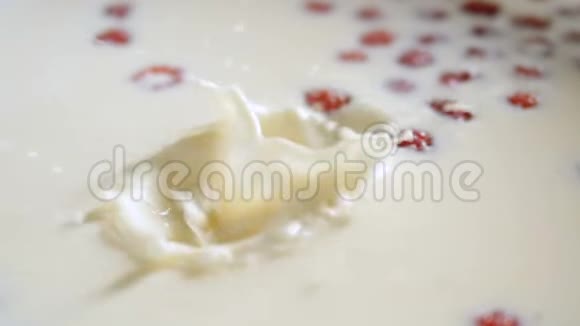 干酪蛋白掉进碗里加入酸奶视频的预览图