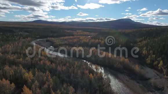 秋日登普斯特公路附近森林的鸟瞰图加拿大育空的Dempster公路视频的预览图
