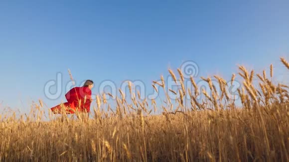 年轻女孩梦想英雄主义女孩穿着红色雨衣扮演超级英雄在蓝天上沿着黄色的田野奔跑开心快乐视频的预览图