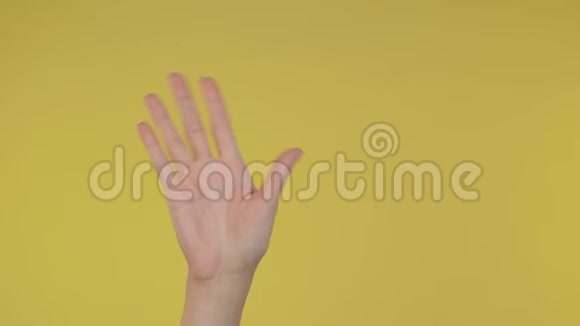 女人的手挥手和问候因为注意到有人的朋友孤立在黄色背景在工作室复制空间视频的预览图
