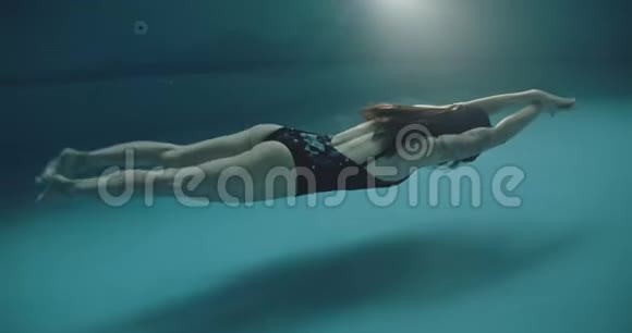 女性游泳新手海豚技术视频的预览图