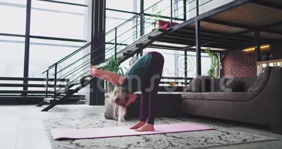 伸展身体在早上的瑜伽练习中一位有魅力的女士在家里在惊人的阁楼设计她练习视频的预览图