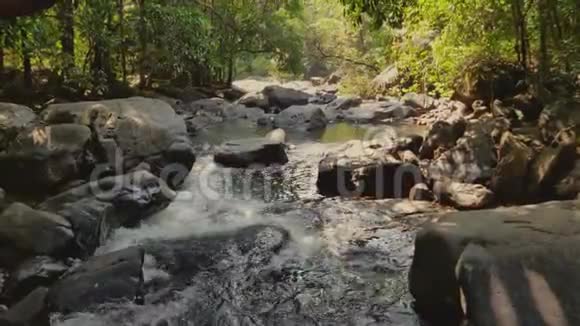 河流穿过森林有瀑布和岩石视频的预览图