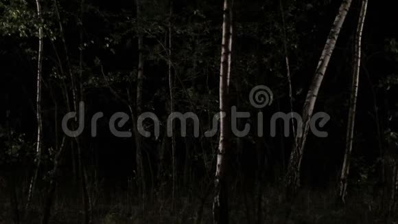 可怕的女人在夜里穿过森林视频的预览图