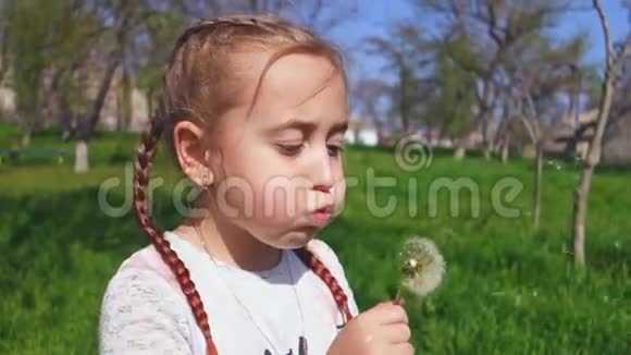 可爱的小女孩在户外吹蒲公英花快乐的孩子在春天公园玩得开心视频的预览图