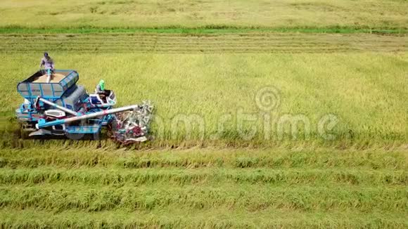 收割机水稻场地面跟踪视频的预览图