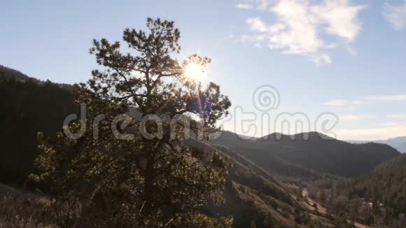 清晨日出山谷松树滑块视频的预览图