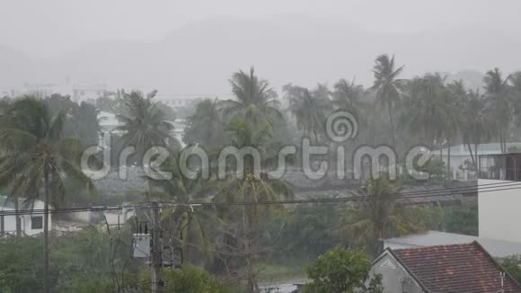 台风和季风的热带暴雨下有棕榈树的小镇暴风雨的雨季4k视频的预览图