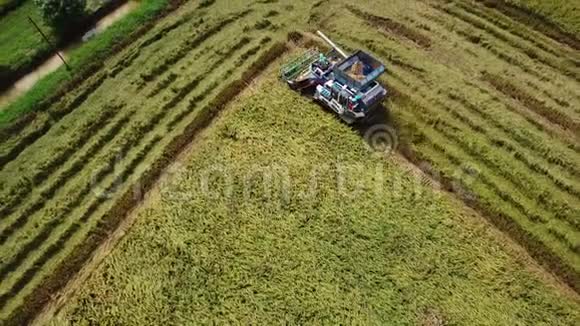 收割机水稻场地面跟踪视频的预览图