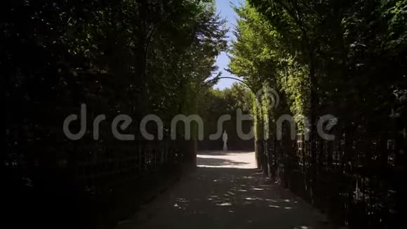 追踪进入凡尔赛花园小巷的镜头视频的预览图