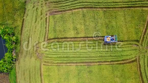 收割机水稻场地面跟踪视频的预览图