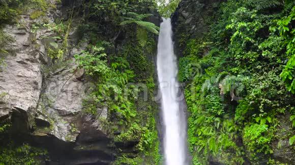 绿色雨林中的瀑布热带土桑瀑布在山区丛林热带森林中的瀑布视频的预览图