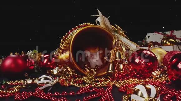 白老鼠和灰老鼠坐在金盆里放在新年的装饰品里视频的预览图