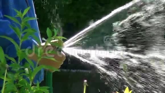 一个工人用水管把水浇在花园里的植物上视频的预览图