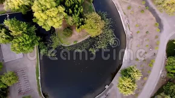 空中俯视夏天一个城市公园中央的绿树小径和一个湖视频的预览图