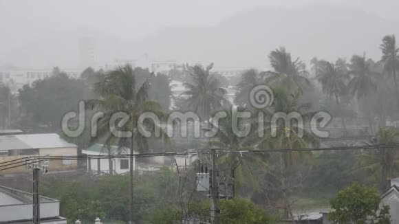 台风和季风的热带暴雨下有棕榈树的小镇暴风雨的雨季4k视频的预览图