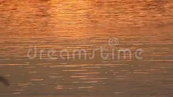 日落反射在河水表面视频的预览图