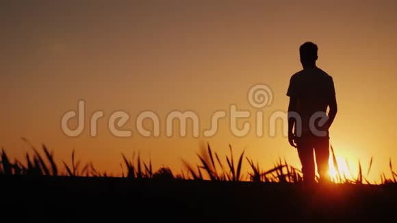 少年仰慕夕阳站在田野里他把双手放在脖子后面从后面看视频的预览图