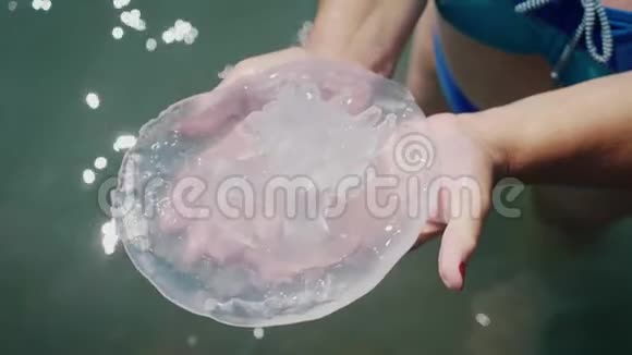 手中的大水母逆着大海视频的预览图