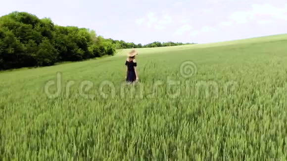 美丽的无忧无虑的女人在麦田里享受大自然和阳光视频的预览图