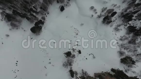傍晚降雪时飞越狩猎场视频的预览图