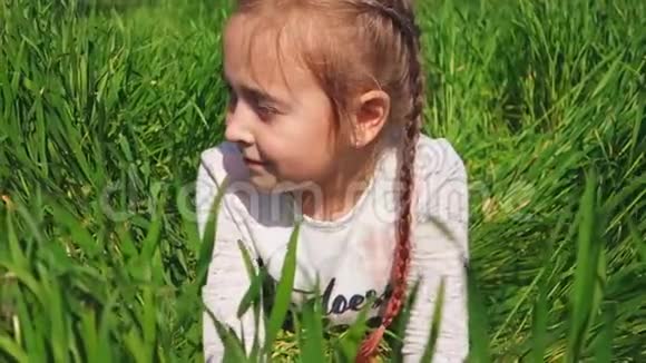 美丽的小女孩躺在田野里幸福孩子的画像草地上的女孩视频的预览图