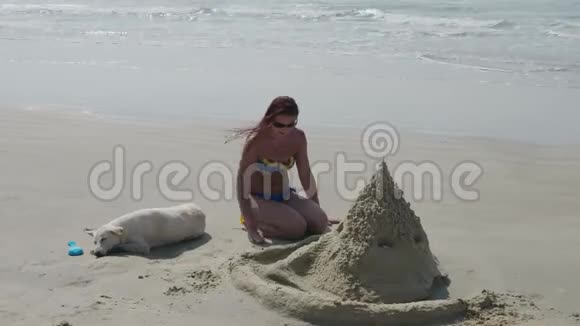 一个年轻的女人穿着泳衣带着一只白色的狗在一个荒凉的海滩上在夏天建造了一座沙堡4K视频的预览图