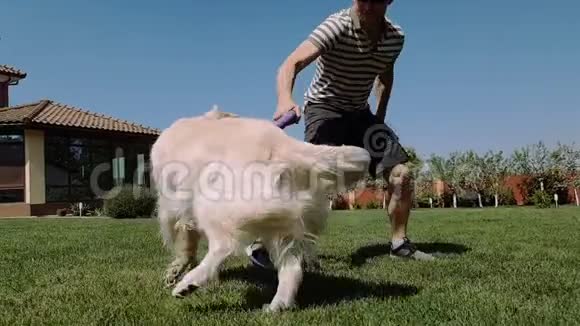 快乐的人和他的白狗在一个花园草地上玩耍夏天在斯洛文尼亚视频的预览图